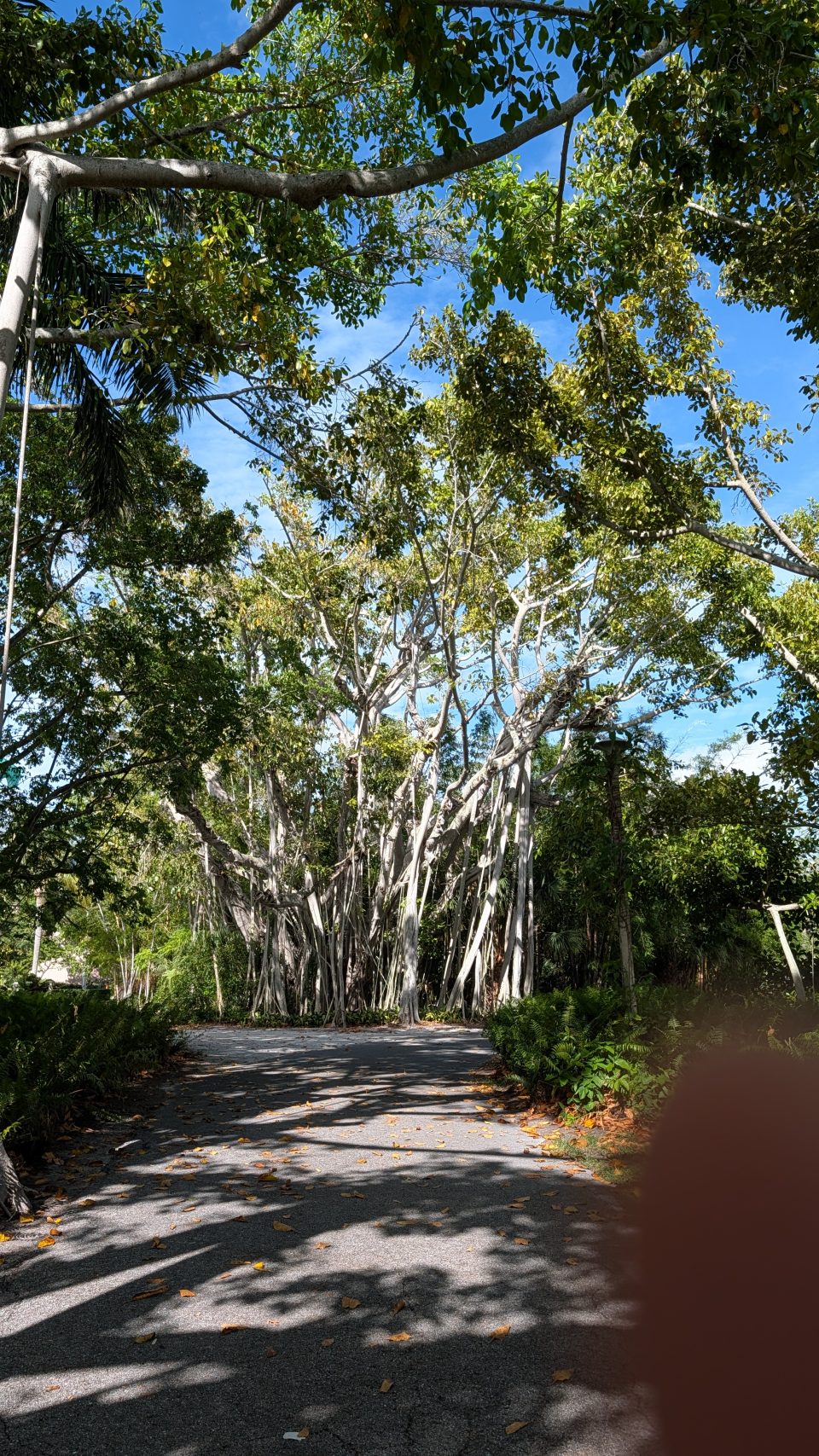 Photo 15 from Sarasota 2026