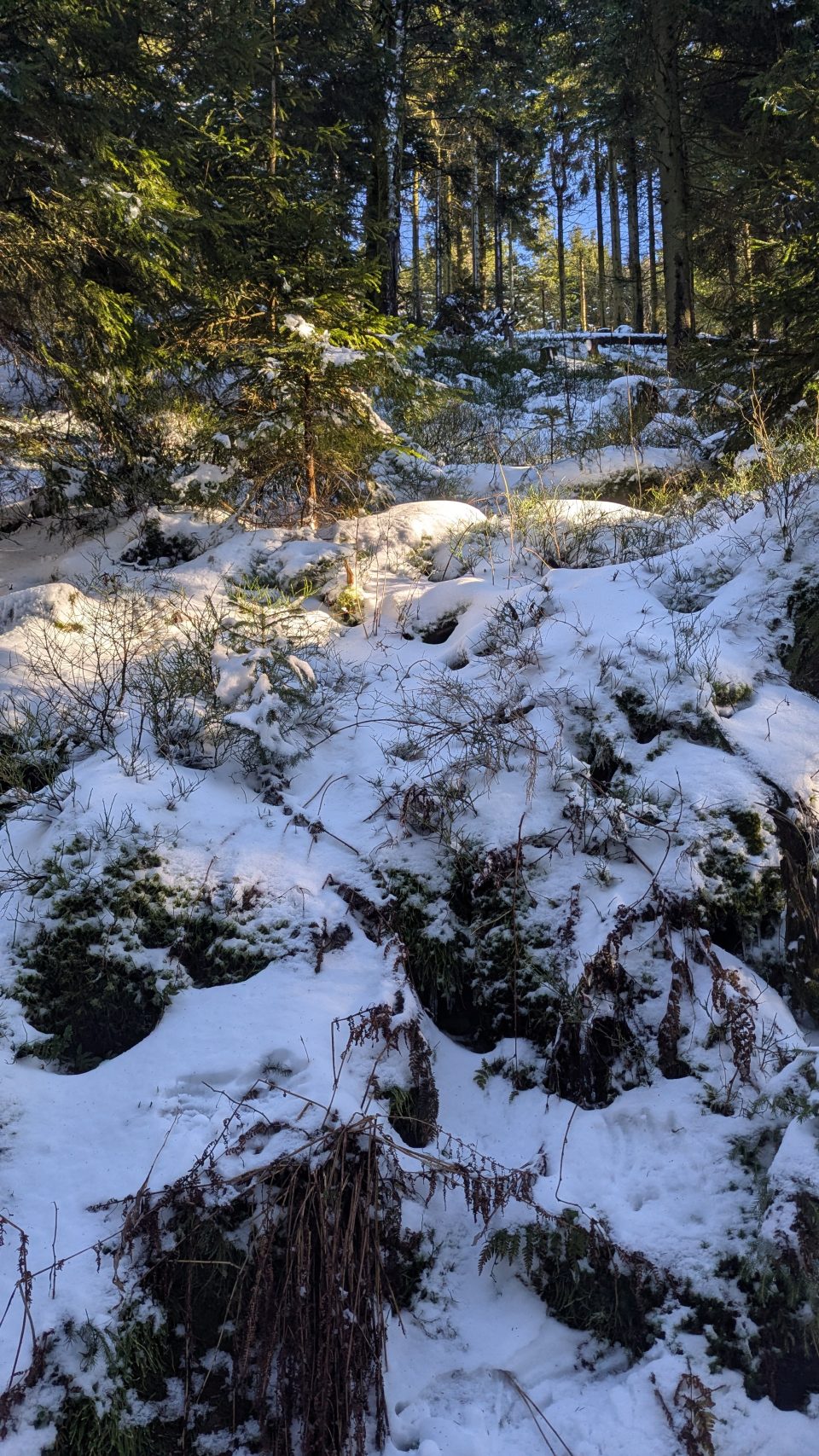 Photo 10 from Duestchland